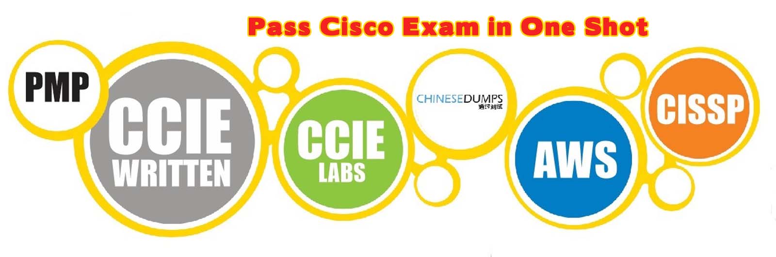 CISM Prüfungs-Guide